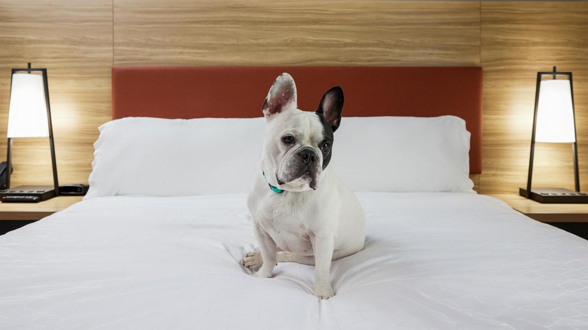 Candlewood Suites Junction City - Ft. Riley By Ihg Exteriör bild